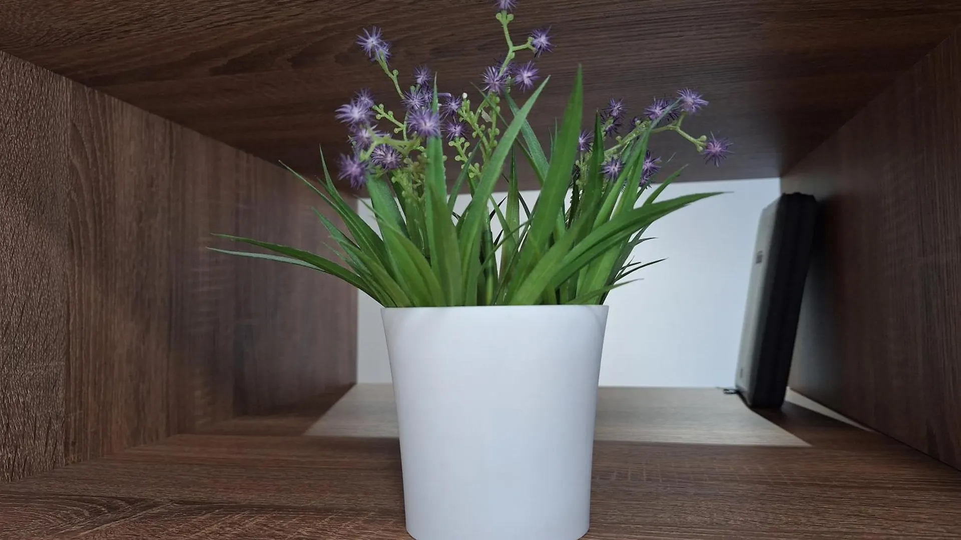 Apartman Danica Zadar